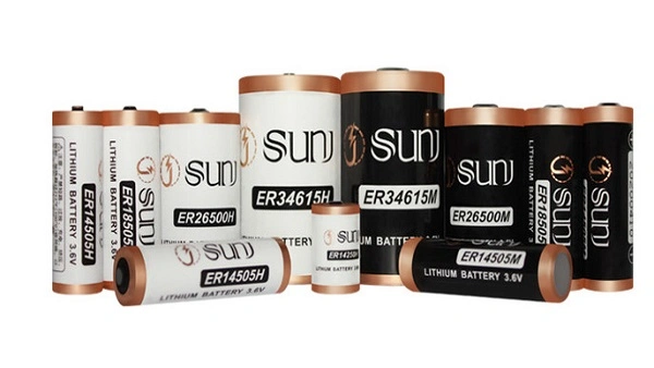 Special Hot Selling 2/3A 1700mAh 3.6V Er17335m Lithium Primary Battery Wholesale Er17335m