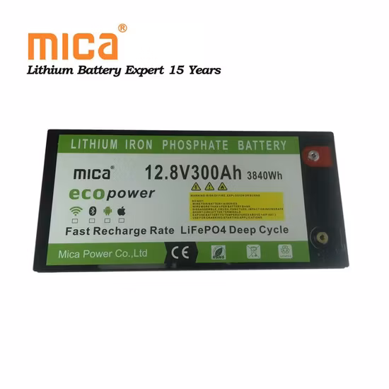 48 Volt 50ah 100ah Lithium Golf Cart Deep Cycle Battery Pack Lifep04 Li
